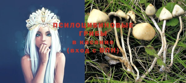 амф Белокуриха