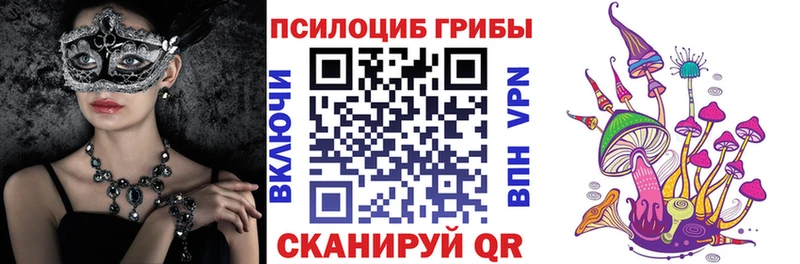 закладки  Теберда  гидра маркетплейс  Псилоцибиновые грибы мицелий 